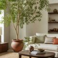 Grand arbre d'intérieur au feuillage abondant dans un salon lumineux