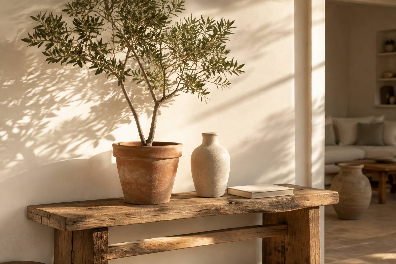 Olivier en pot sur console en bois aux ombres fines sur le mur